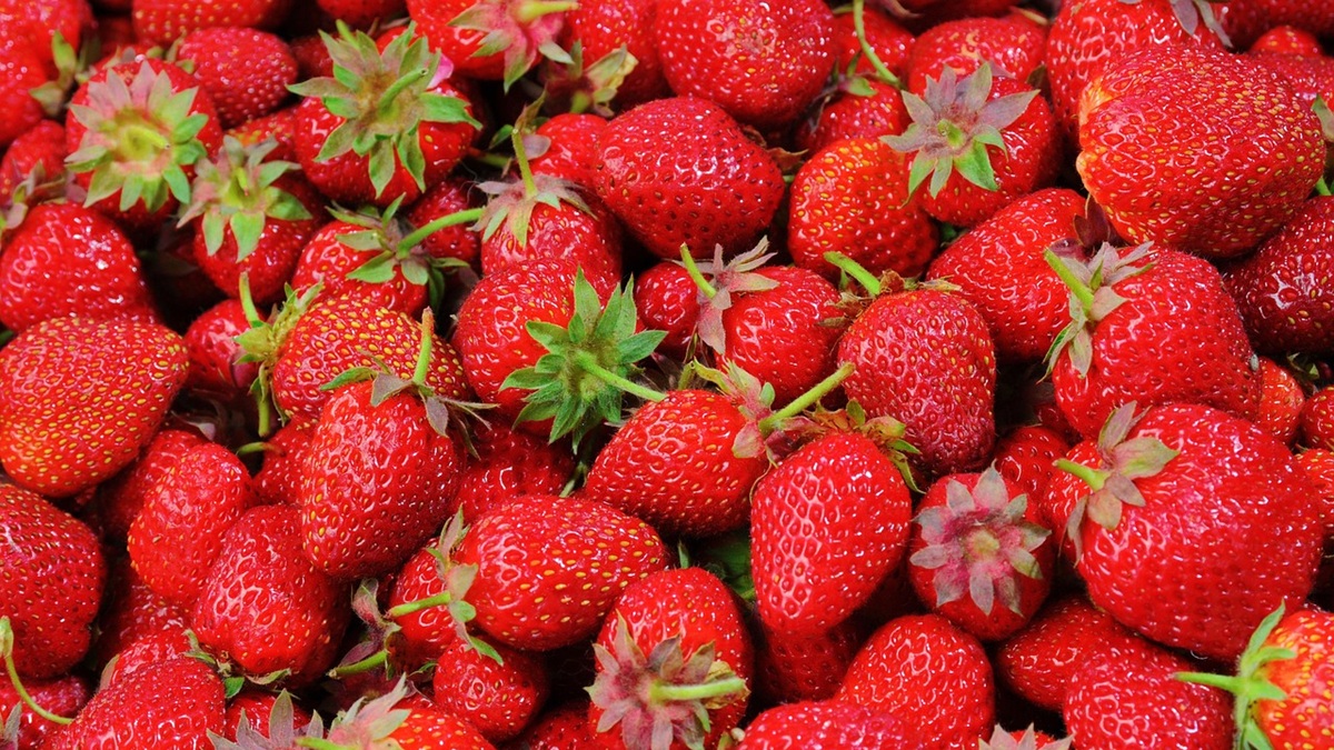 Poscosecha de la fresa en una situación de crisis logística en la cadena de suministro.jpg